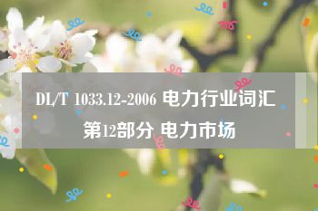 DL/T 1033.12-2006 电力行业词汇 第12部分 电力市场