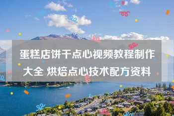 蛋糕店饼干点心视频教程制作大全 烘焙点心技术配方资料