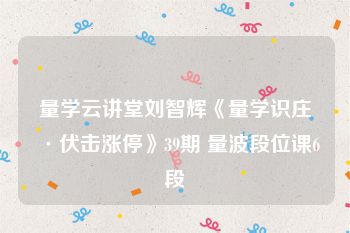 量学云讲堂刘智辉《量学识庄·伏击涨停》39期 量波段位课6段