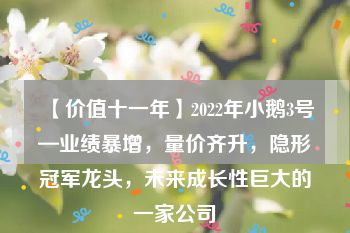 【价值十一年】2022年小鹅3号—业绩暴增，量价齐升，隐形冠军龙头，未来成长性巨大的一家公司