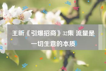 王昕《引爆招商》32集 流量是一切生意的本质