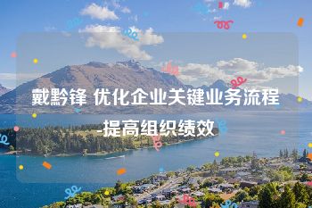 戴黔锋 优化企业关键业务流程-提高组织绩效