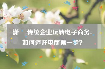 潇彧 传统企业玩转电子商务-如何迈好电商第一步？