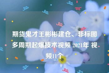 期货鬼才王彬彬建仓、非标图多周期起爆技术视频 2021年 视频11个