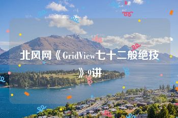 北风网《GridView七十二般绝技》9讲