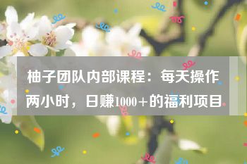 柚子团队内部课程：每天操作两小时，日赚1000+的福利项目