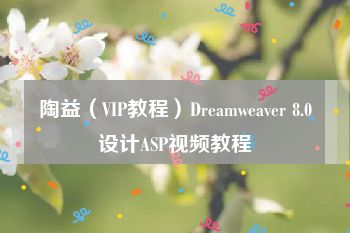 陶益（VIP教程）Dreamweaver 8.0设计ASP视频教程