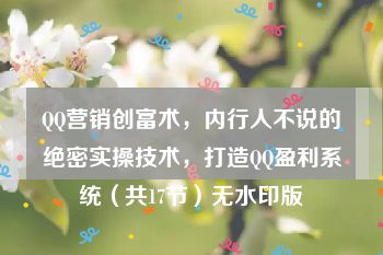 QQ营销创富术，内行人不说的绝密实操技术，打造QQ盈利系统（共17节）无水印版