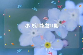 小飞训练营11期