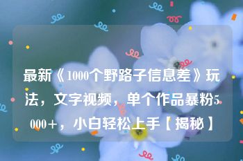 最新《1000个野路子信息差》玩法，文字视频，单个作品暴粉5000+，小白轻松上手【揭秘】