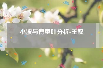 小波与傅里叶分析-王蕊