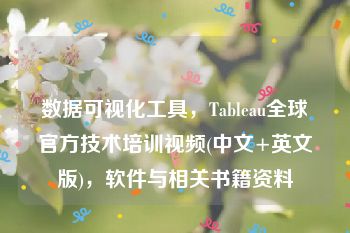 数据可视化工具，Tableau全球官方技术培训视频(中文+英文版)，软件与相关书籍资料