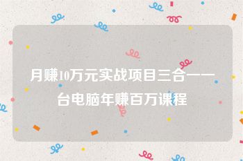 月赚10万元实战项目三合一一台电脑年赚百万课程