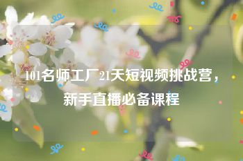 101名师工厂21天短视频挑战营，新手直播必备课程