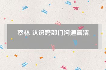 蔡林 认识跨部门沟通高清