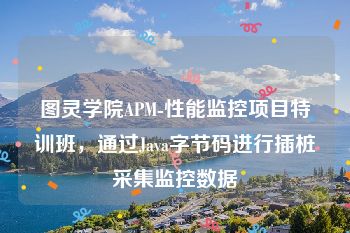 图灵学院APM-性能监控项目特训班，通过Java字节码进行插桩采集监控数据