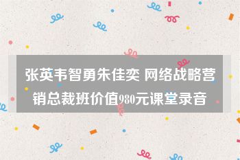 张英韦智勇朱佳奕 网络战略营销总裁班价值980元课堂录音