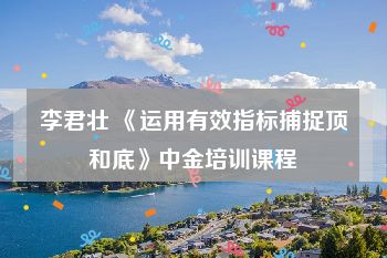 李君壮 《运用有效指标捕捉顶和底》中金培训课程