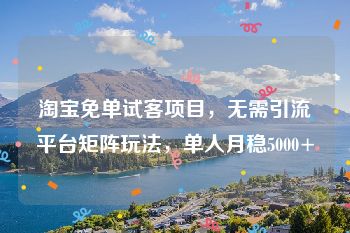 淘宝免单试客项目,无需引流平台矩阵玩法,单人月稳5000+