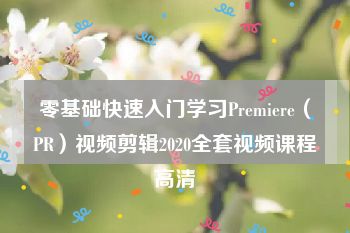 零基础快速入门学习Premiere（PR）视频剪辑2020全套视频课程高清