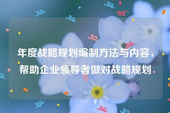 年度战略规划编制方法与内容，帮助企业领导者做对战略规划