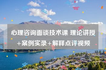 心理咨询面谈技术课 理论讲授+案例实录+解释点评视频