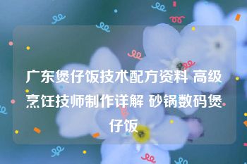 广东煲仔饭技术配方资料 高级烹饪技师制作详解 砂锅数码煲仔饭