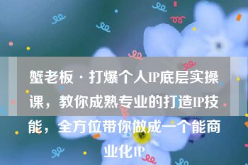 蟹老板·打爆个人IP底层实操课，教你成熟专业的打造IP技能，全方位带你做成一个能商业化IP