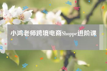 小鸿老师跨境电商Shoppe进阶课