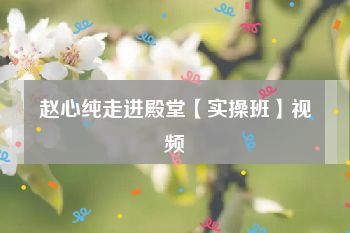 赵心纯走进殿堂【实操班】视频