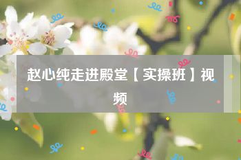 赵心纯走进殿堂【实操班】视频