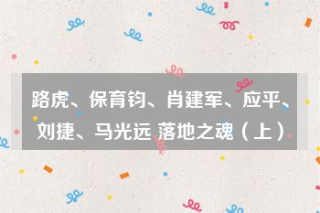 路虎、保育钧、肖建军、应平、刘捷、马光远 落地之魂（上）