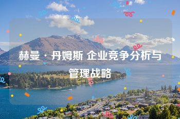 赫曼·丹姆斯 企业竞争分析与管理战略