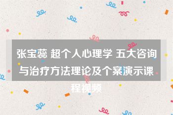 张宝蕊 超个人心理学 五大咨询与治疗方法理论及个案演示课程视频