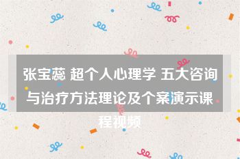 张宝蕊 超个人心理学 五大咨询与治疗方法理论及个案演示课程视频