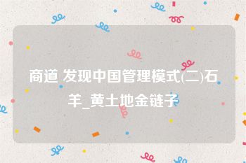 商道 发现中国管理模式(二)石羊_黄土地金链子