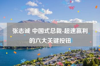 张志诚 中国式总裁-超速赢利的六大关键按钮