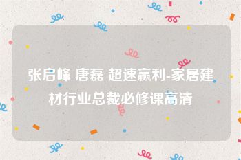 张启峰 唐磊 超速赢利-家居建材行业总裁必修课高清