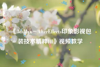 《3dsMax－AfterEffects印象影视包装技术精粹III》视频教学