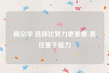 杨宗华 选择比努力更重要-责任重于能力
