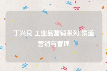 丁兴良 工业品营销系列-渠道营销与管理