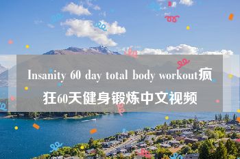 Insanity 60 day total body workout疯狂60天健身锻炼中文视频