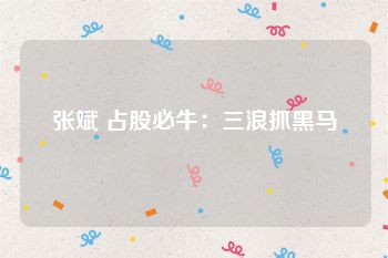 张斌 占股必牛：三浪抓黑马