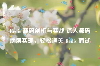 Redis 源码剖析与实战 深入源码底层实现，轻松通关 Redis 面试