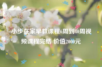 小步在家早教课程6周到40周视频课程完结 价值2000元