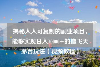 揭秘人人可复制的副业项目，能够实现日入10000+的撸飞天茅台玩法【视频教程】