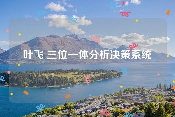 叶飞 三位一体分析决策系统