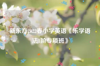 新东方2022春小学英语《乐学语法1阶专项班》
