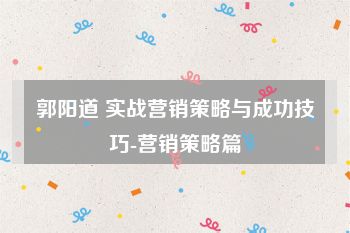 郭阳道 实战营销策略与成功技巧-营销策略篇