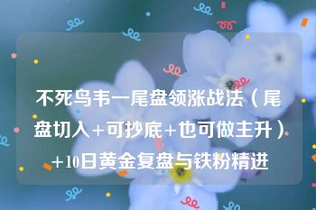 不死鸟韦一尾盘领涨战法（尾盘切入+可抄底+也可做主升）+10日黄金复盘与铁粉精进